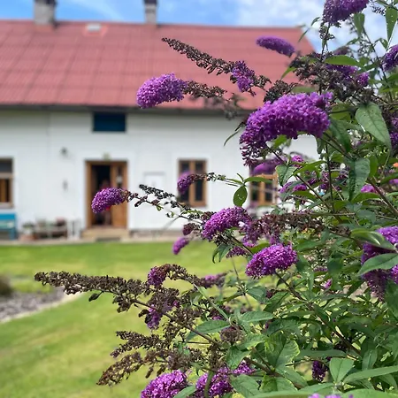 Διαμέρισμα Na Chalupu Do Lisnice Lisnice (Pardubice)